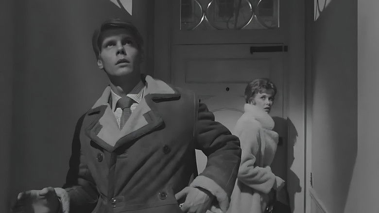 кадр из фильма Слуга