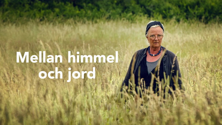 кадр из фильма Mellan himmel och jord