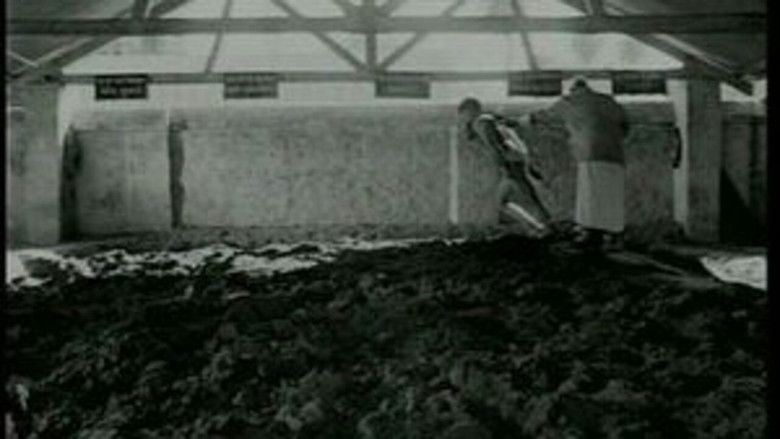 кадр из фильма Matti Ke Lal, fils de la terre