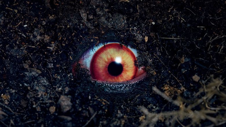 кадр из фильма Запретная игра