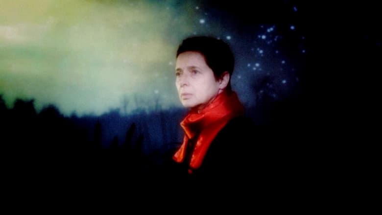 кадр из фильма The Rabbit Hunters