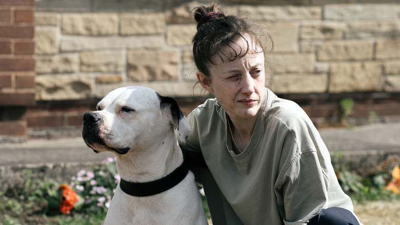 кадр из фильма Dragonfly