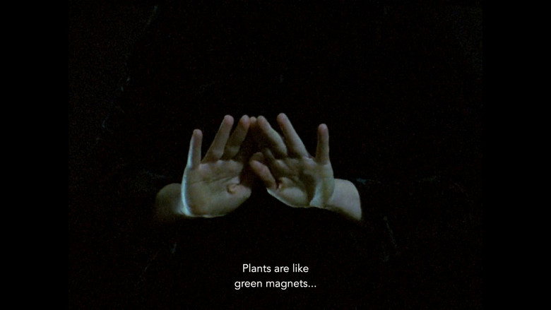 кадр из фильма Palomacia