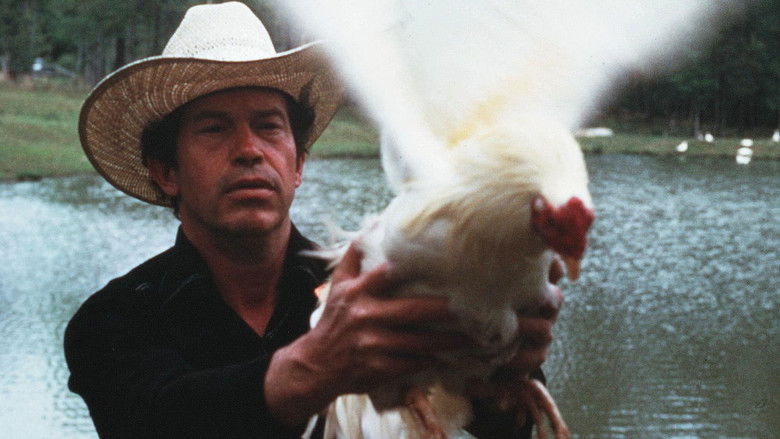 кадр из фильма Cockfighter