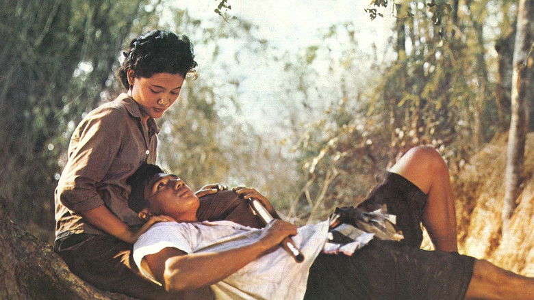 кадр из фильма แผลเก่า