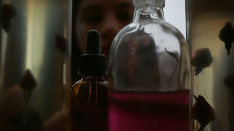 кадр из фильма From: Nora