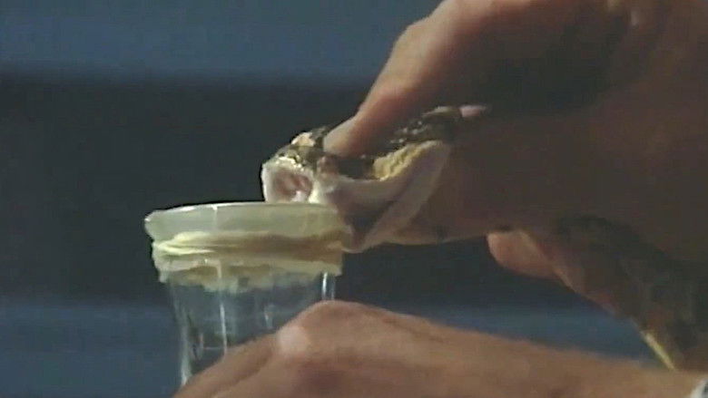 кадр из фильма Nag van Vrees