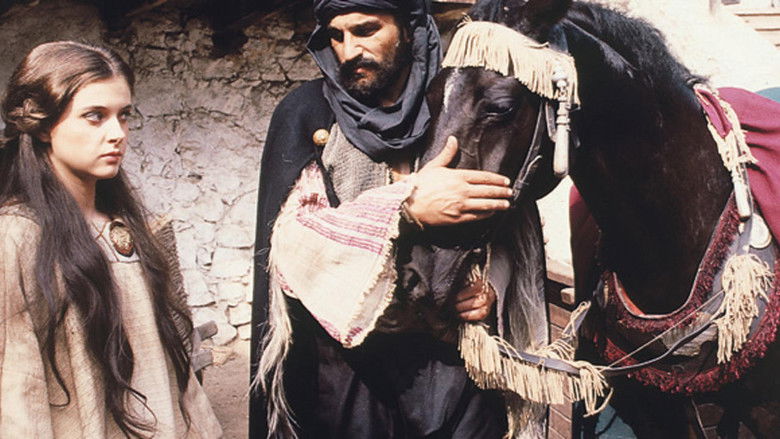 кадр из фильма Бановић Страхиња