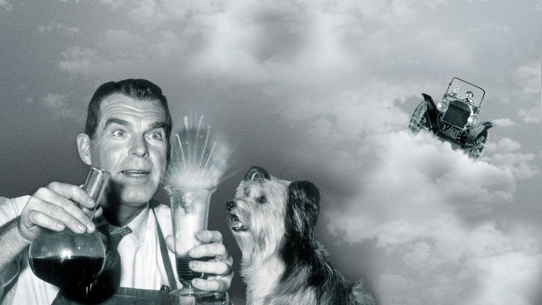 кадр из фильма Сын Флаббера