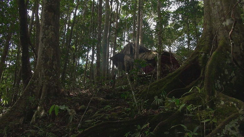 кадр из фильма BE’ JAM BE: Бесконечная песнь