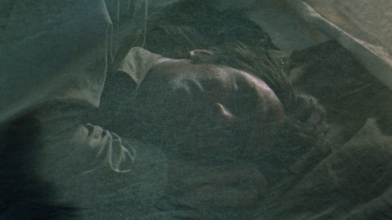 кадр из фильма Ветер над равнинами