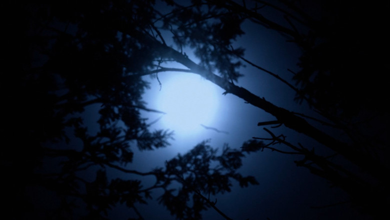 кадр из фильма Cold Days From the Treetops