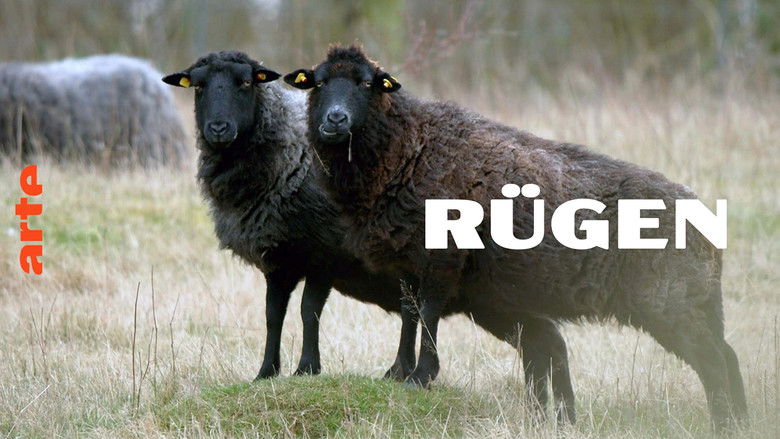 кадр из фильма Rügen - Weiße Felsen, grüne Wälder