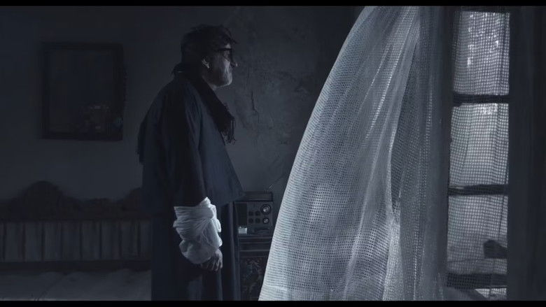 زەویی ونبووان