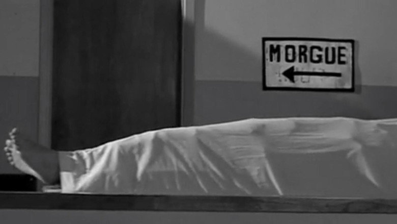 кадр из фильма Graveyard Alive: A Zombie Nurse in Love