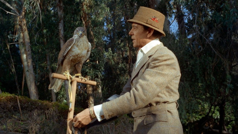 кадр из фильма Picture Mommy Dead