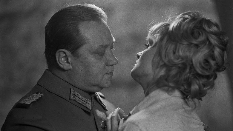 кадр из фильма Pasiáns