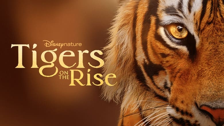 кадр из фильма Tigers on the Rise