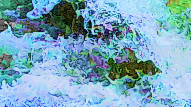 кадр из фильма Feel Flows