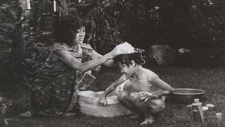 кадр из фильма 추억의 빛