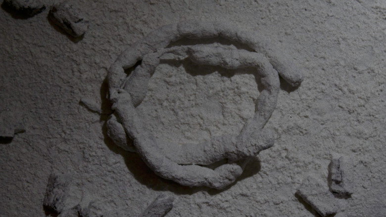 кадр из фильма The Starving Artist