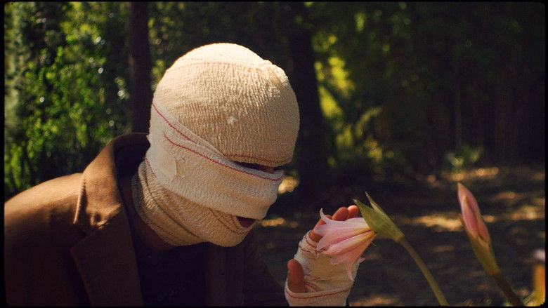 кадр из фильма Tigre Místico