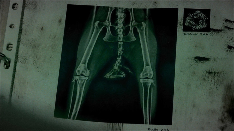 кадр из фильма Хвост