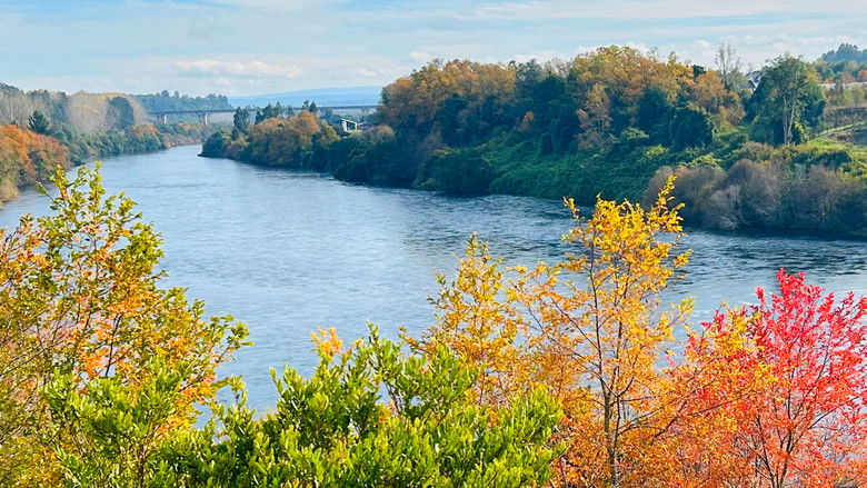 кадр из фильма Doppelgänger