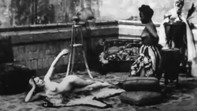 Le rêveil de Chrysis