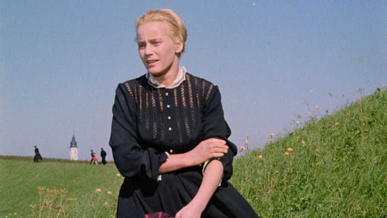 кадр из фильма Роза Бернд