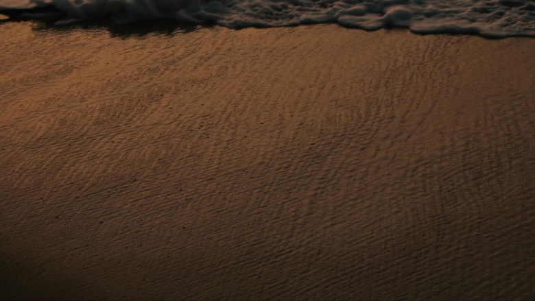 кадр из фильма The Fisherman