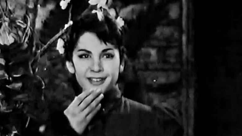 кадр из фильма Ανθισμένη Αμυγδαλιά