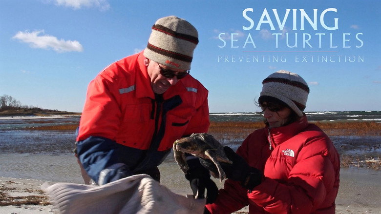 кадр из фильма Saving Sea Turtles: Preventing Extinction