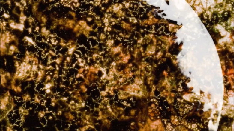 кадр из фильма When It Was Blue