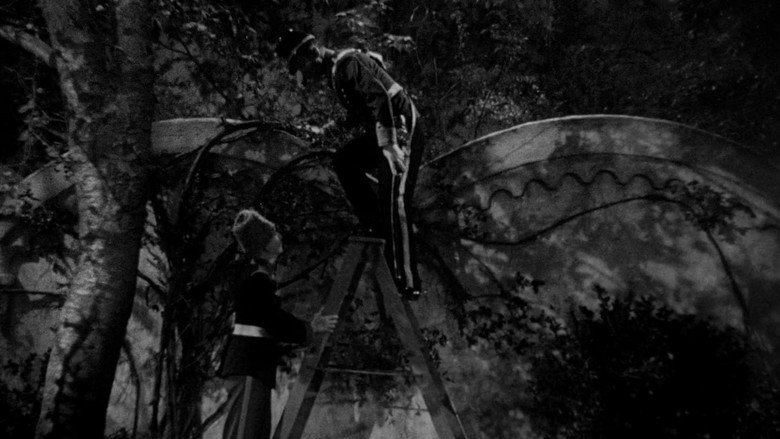 кадр из фильма Веселая вдова