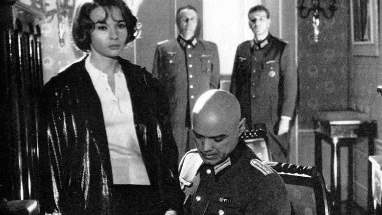 кадр из фильма La Chatte