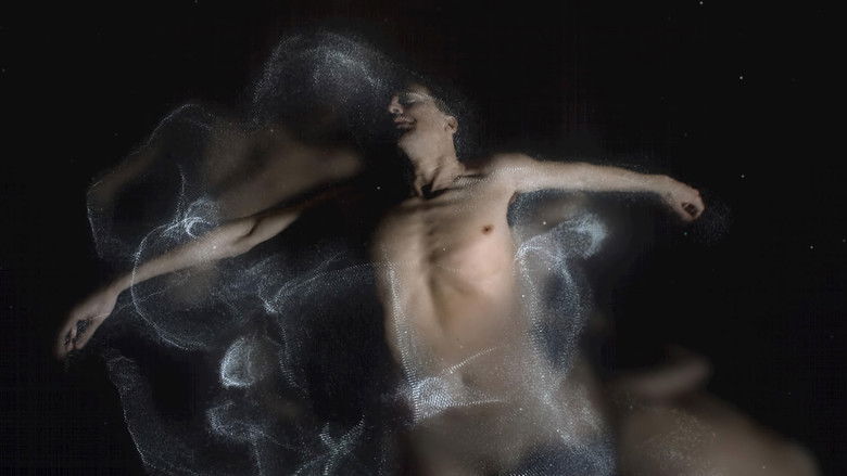 кадр из фильма Symmetry