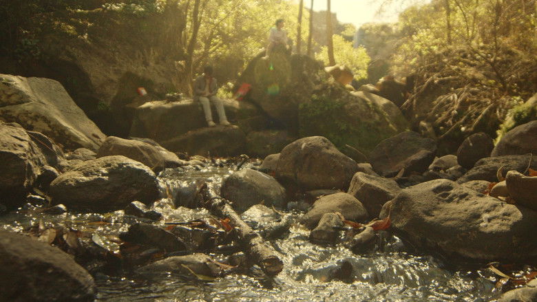 кадр из фильма Quintaesencia