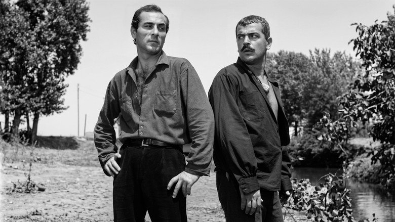 кадр из фильма Çelik Bilek