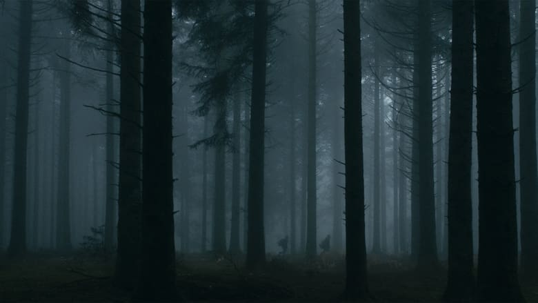 кадр из фильма Le Cœur Noir des Forêts