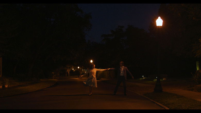 кадр из фильма Dear Amelia