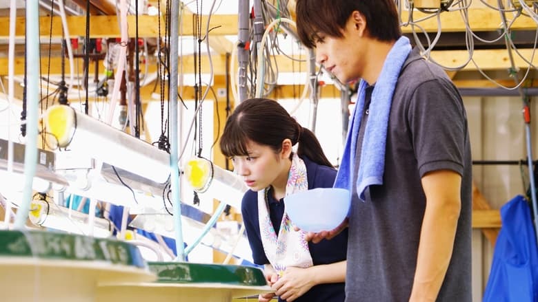 кадр из фильма Девушка с тунцовой фермы