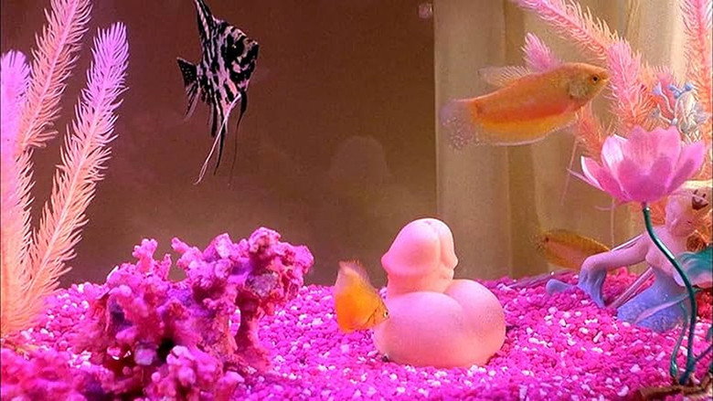 кадр из фильма Великая Афродита