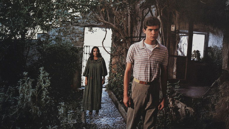 кадр из фильма Dağınık Yatak