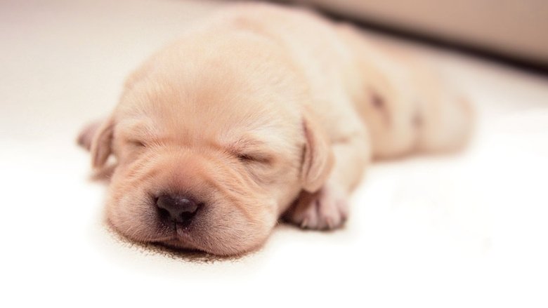 кадр из фильма Куилл