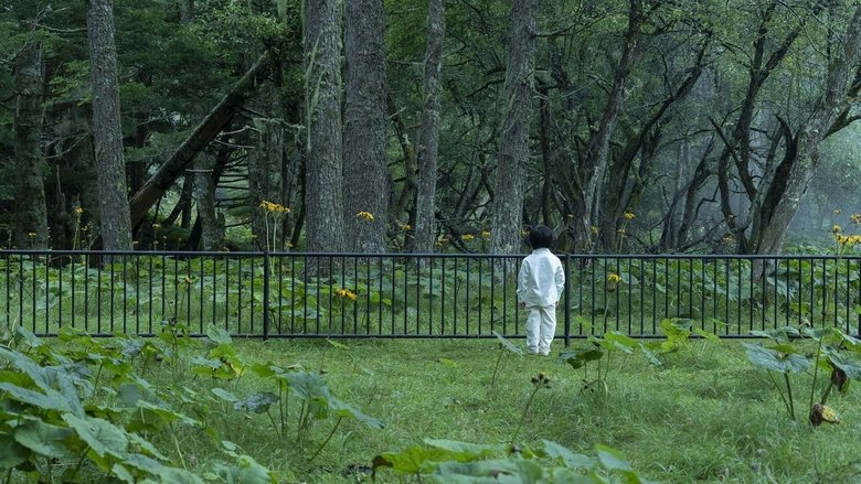 кадр из фильма Обещанный Неверленд