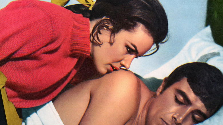 кадр из фильма L'Harem