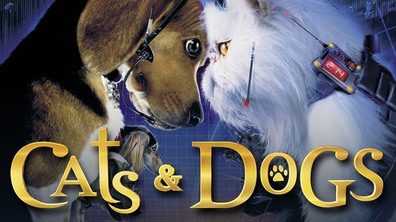 кадр из фильма Кошки против собак