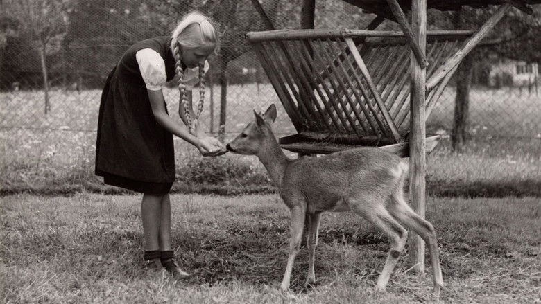 кадр из фильма Wo die Alpenrosen blühen