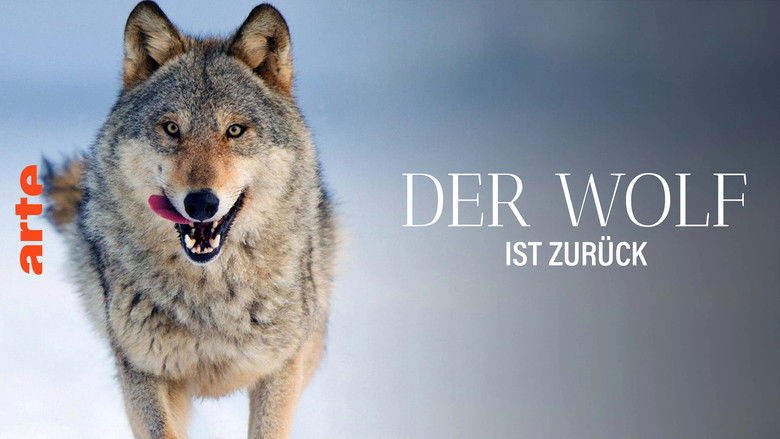 кадр из фильма Wolf